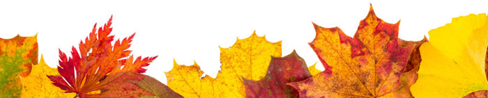 herbst